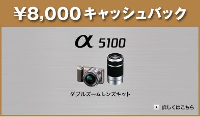 ILCE-5100