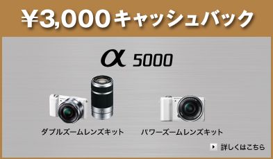 ILCE-5000